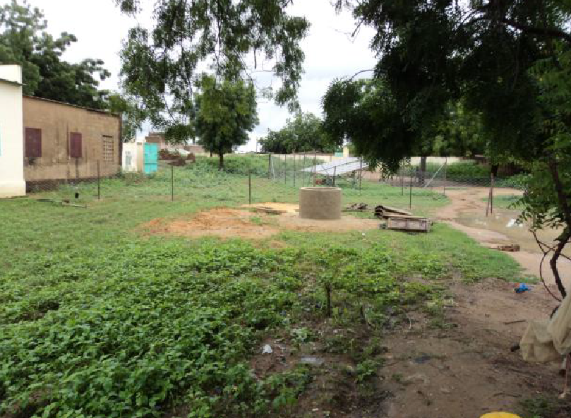 Site maraicher de l ecole de Diaba Peul 