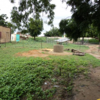 Site maraicher de l ecole de Diaba Peul 